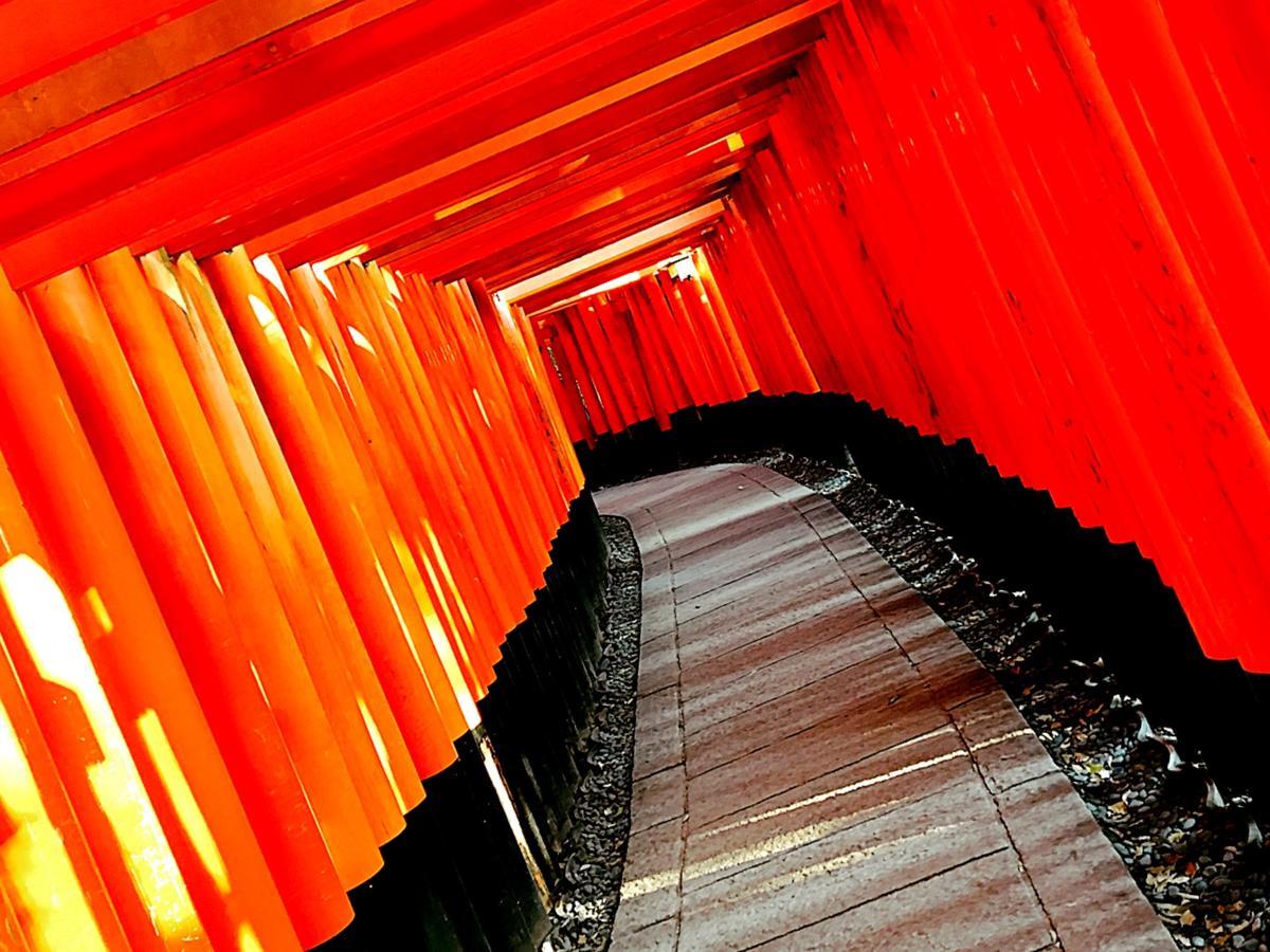 Rinn Kujokamogawa Kyoto Exteriör bild